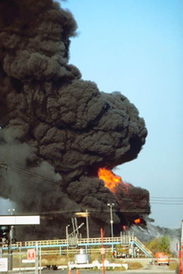 plant fire